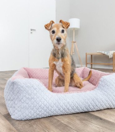 Cama Kaline Mio con diseño moderno y funcional