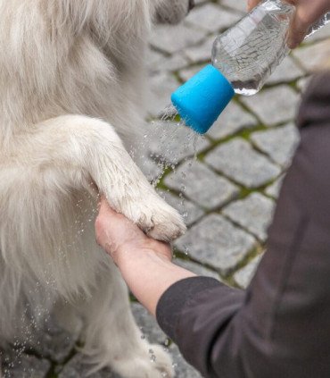 Ducha móvil para perros