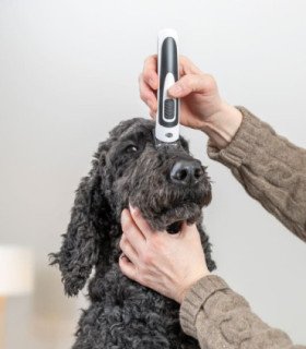 Cortapelos de Batería SLIM TR500