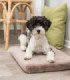 Colchón Vital Lonni con funda poliéster y efecto memoria