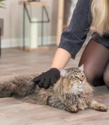 Guante Masaje-Cepillado para Gatos