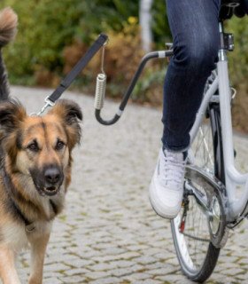 Set para Bicicleta en forma de U