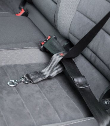 Correa Corta Universal