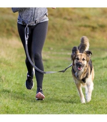 Cinturón con Correa