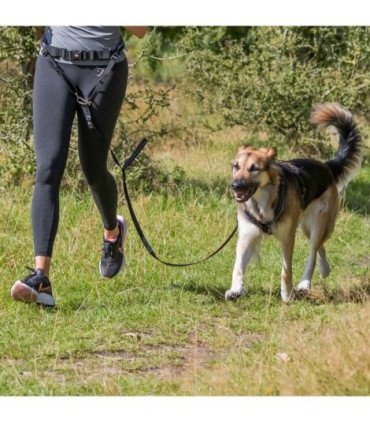 Cinturón con Correa Canicross para perros medianos y grandes