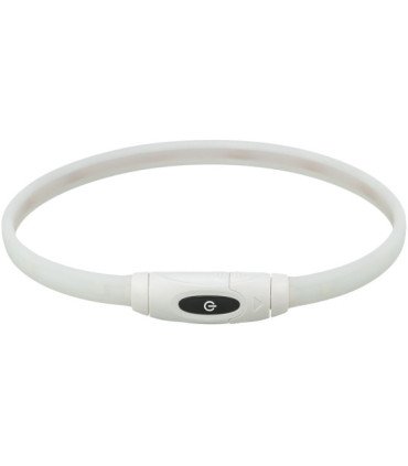 Collar de Aro Flash USB con luz y resistencia
