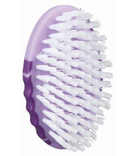 In Style cepillo púas de nylon, 10,5 x6 cm