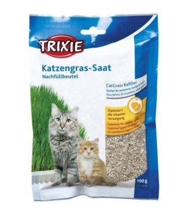 Semilla de hierba para gatos, fácil de cultivar