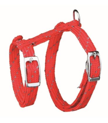 Arnés con Correa Gatitos