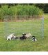 Recinto metálico para cachorros, ampliable y seguro