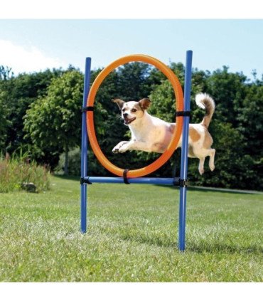 Aro para Agility: entrenamiento avanzado y ajustable
