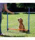 Valla para Agility con barras y soportes