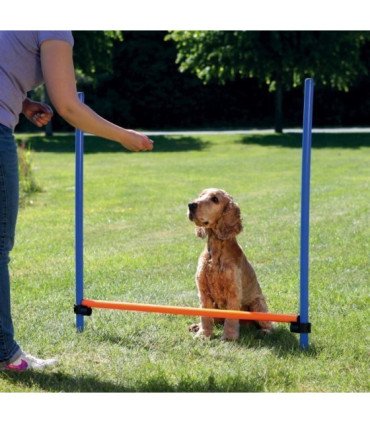 Valla para Agility con barras y soportes