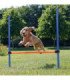 Valla para Agility con barras y soportes