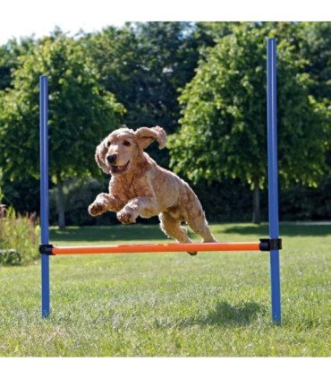 Valla para Agility con barras y soportes