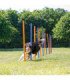 Eslalon para Agility en entrenamiento flexible