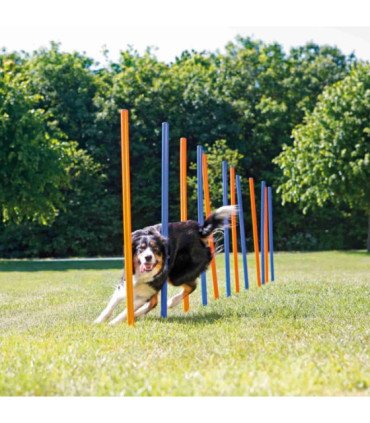 Eslalon para Agility en entrenamiento flexible