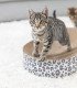 Cama rascado Leo gris con catnip para gatos