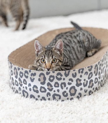 Cama rascado Leo gris con catnip para gatos