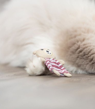 Oso de poliéster con catnip para mascotas