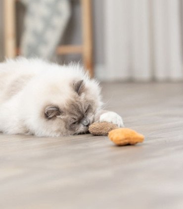 Felpa Oso suave con catnip para gatos