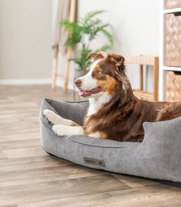Cama ortopédica Vital Cama Lennox con sistema de confort