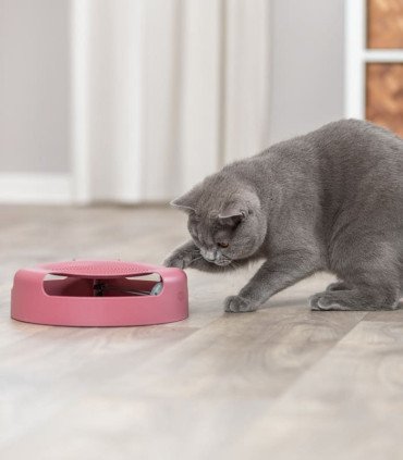 Juego Atrapa el Ratón