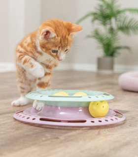 Junior Kitten Circle