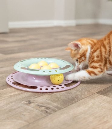 Junior Kitten Circle