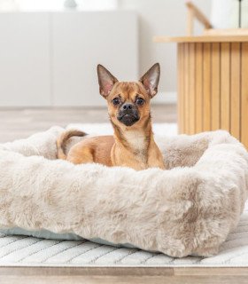 Cama Elli con cojín y funda extraíble