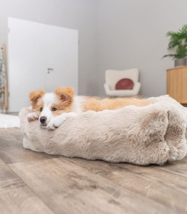 Cama Elli con cojín y funda extraíble