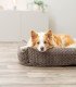 Cama Livia de terciopelo con cojín y funda extraíble