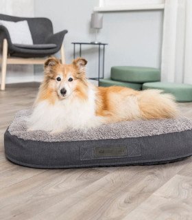 Cojín Bendson, comodidad y estabilidad para tu perro
