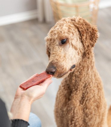 Premio Filets: snack saludable y sin gluten