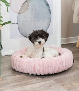 Cama Lonni: comodidad y calidad para tu mascota