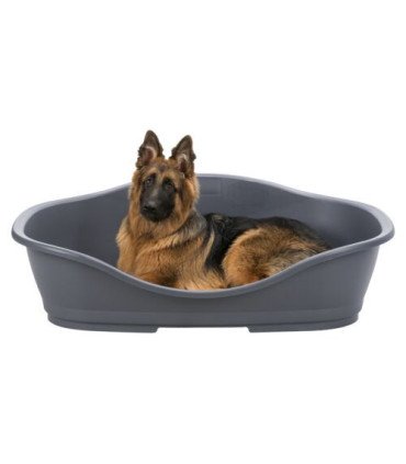 Cama de Plástico Sleeper