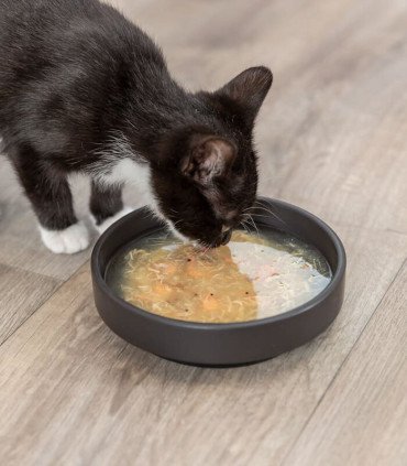 Premio líquido pollo y salmón