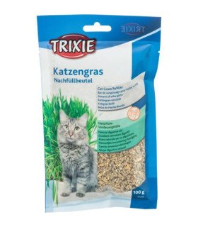 Semilla de cebada para cultivar hierba gatera