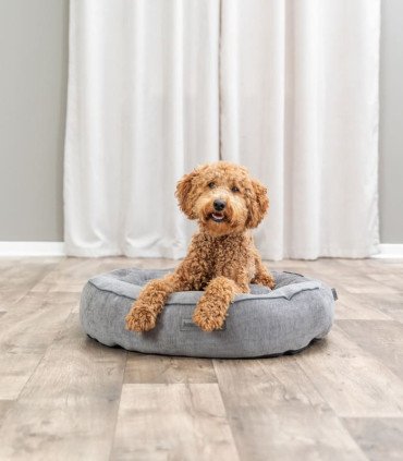 Cama ortopédica Lennox en Tela Chenille