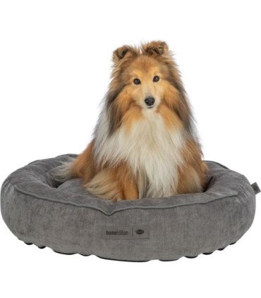 Cama ortopédica Lennox en Tela Chenille