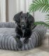 Cama Lonni: confort y elegancia