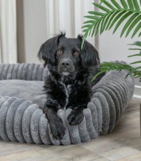 Cama Lonni: confort y elegancia