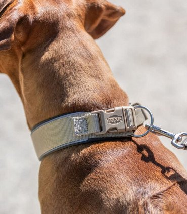 Premium Collar, extra ancho