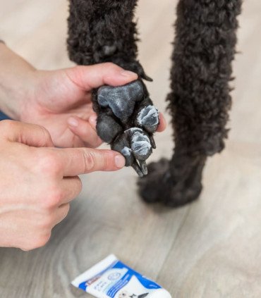 Crema Almohadillas Patas