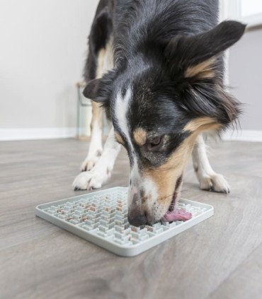 Mantel Lick'n'Snack para bienestar animal