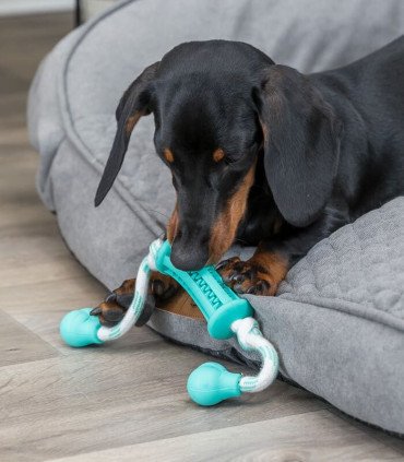 Palo con Cuerda Mintfresh