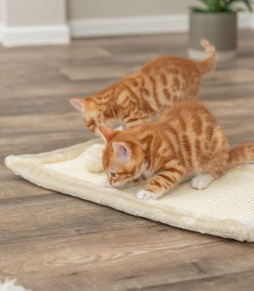 Alfombrilla Rascadora