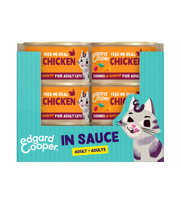 Adulto Pollo - trocitos en salsa