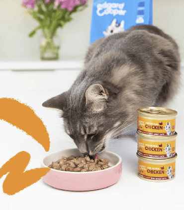 Adulto Pollo - trocitos en salsa