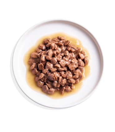 Adulto Salmón y pollo - Trocitos en salsa